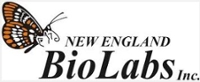 New England Bio Logo